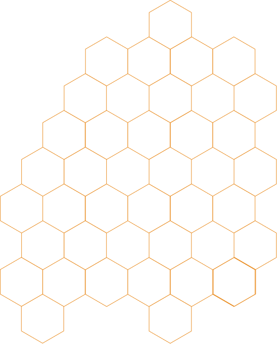 hive